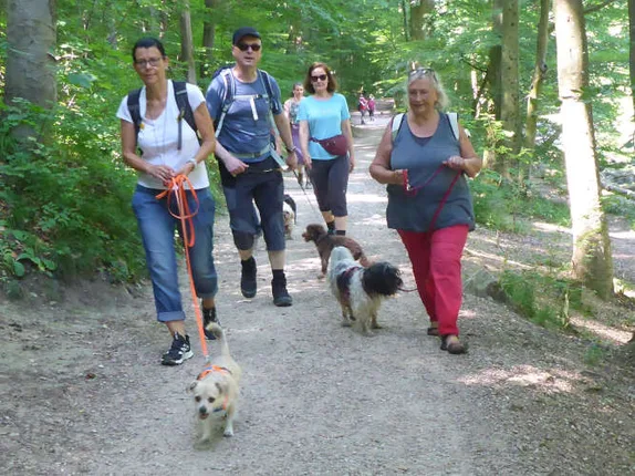 Hundetraining mit Roya – Foto 4
