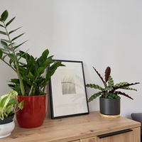 Gallery Foto