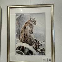 Gallery Foto