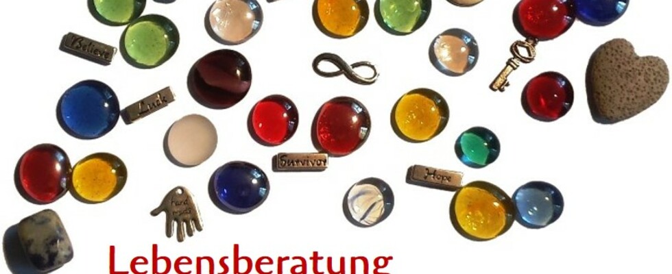 Stephanie Niederhuber Lebens- und Sozialberatung, Supervision, horsesense®-Coach