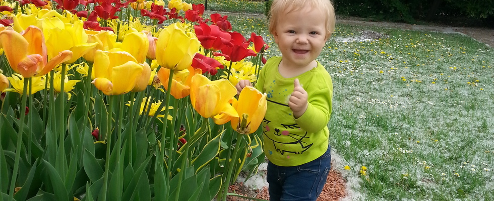 Sing Kling Spring in den Mai (TonTanz x wienxtra)