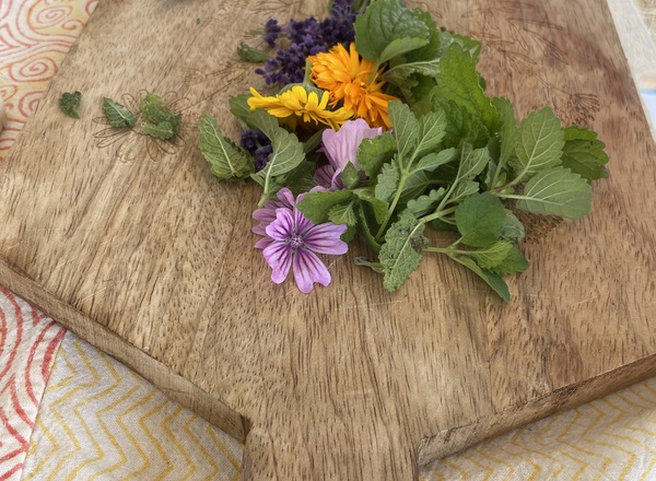 Workshop: Kleine Hausapotheke – Kräuter erleben & selbst herstellen