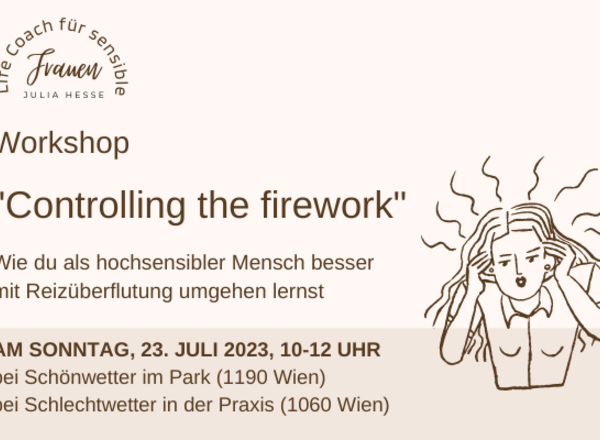 Workshop "Controlling the firework - Umgang mit Reizüberflutung"