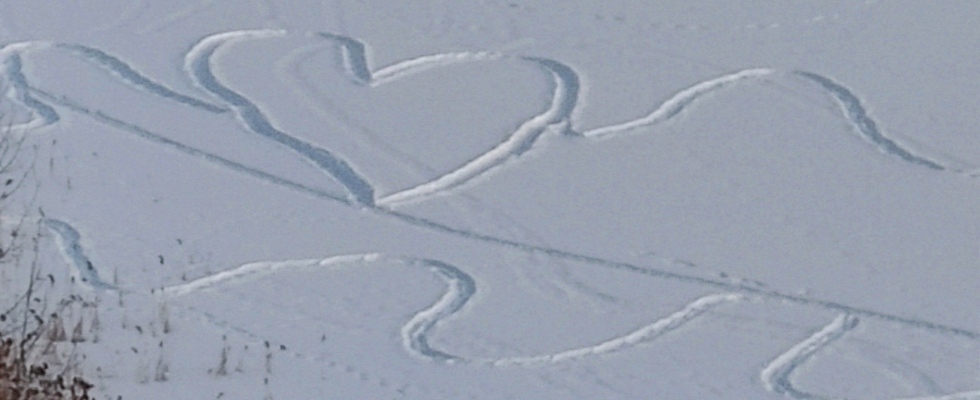 Winter ohne Blues