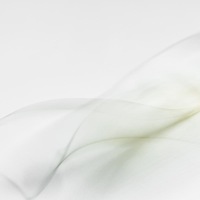 Gallery Foto