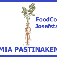 FoodCoop MIA Pastinaken
