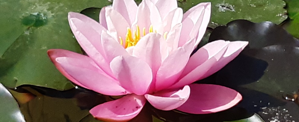 Lust und Unlust in der Partnerschaft verstehen