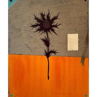 Gallery Foto