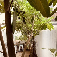 Gallery Foto