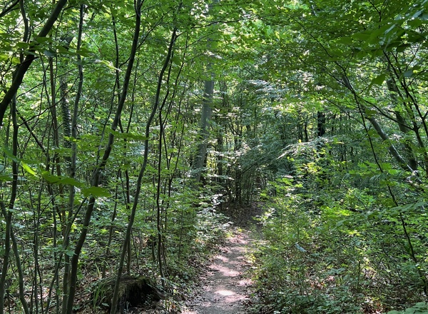 Wienerwaldbaden