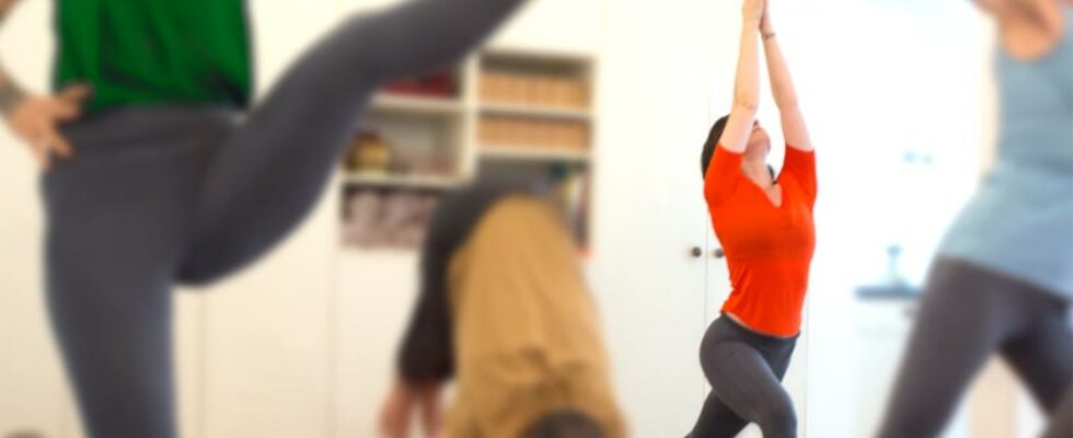4 wöchiger YogaGrundkurs