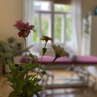 Gallery Foto
