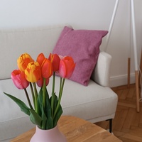 Gallery Foto
