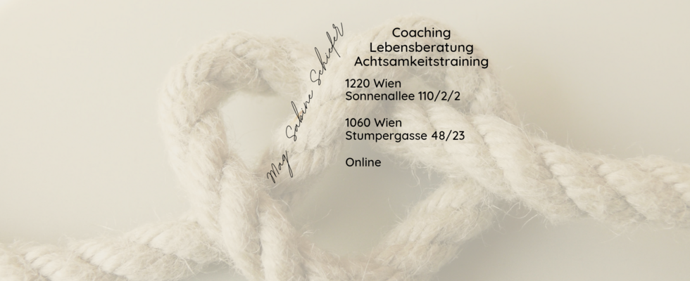 Systemisches Coaching Sabine Schiefer