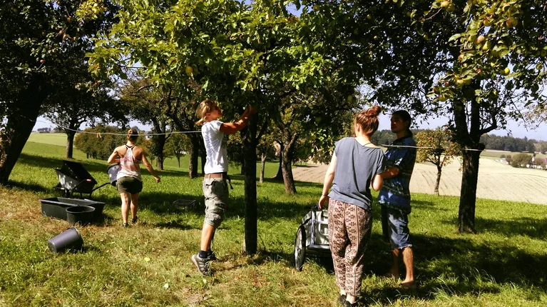 Solidarische Landwirtschaft Ouvertura – Foto 3
