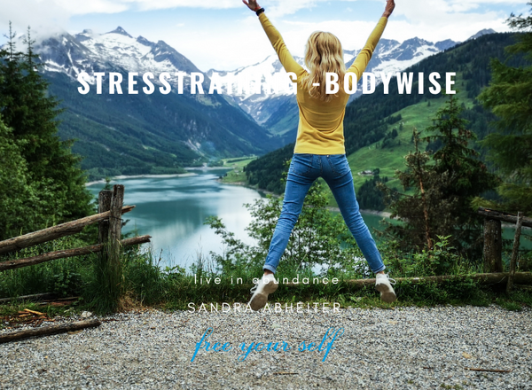Workshop : Stressfrei gestresst sein!