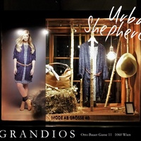 Gallery Foto