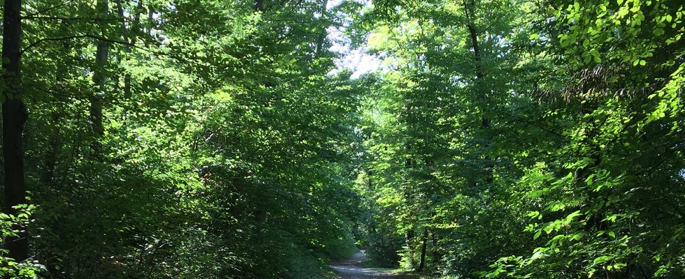 Wienerwaldbaden