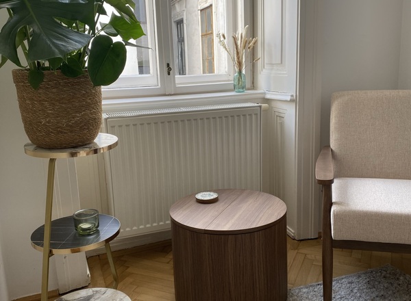 Praxisraum Mitten im 7. Bezirk - Psychotherapie, Coaching, Supervision