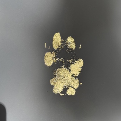 #<CrowdReward:0x0000749ae8a72f90>