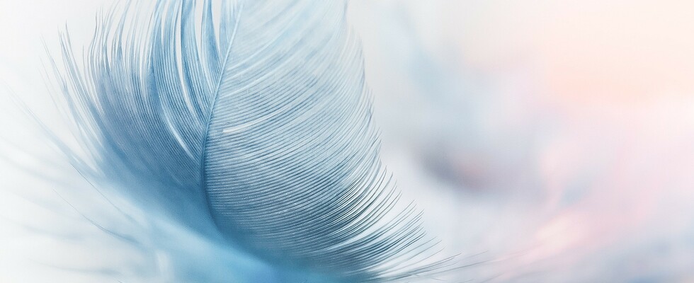 Yin Yoga mit Suzie