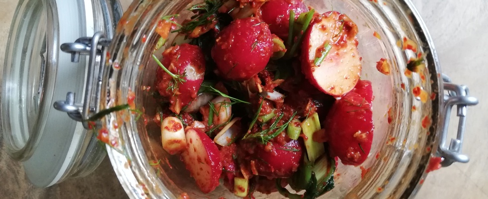 Den Frühling fermentieren - Radieschen, Rharbarber, Bärlauch und Co