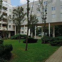 Gallery Foto