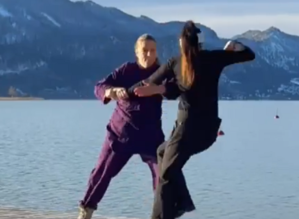 Taiji Quan - die 13 Bewegungen 