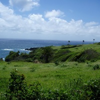 Gallery Foto