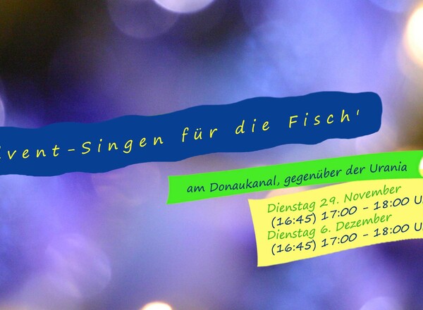 ADVENTSINGEN FÜR DIE FISCH'