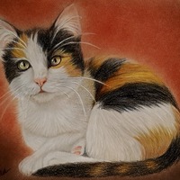 Gallery Foto