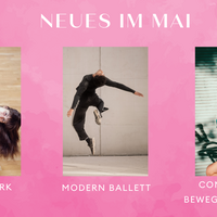 Gallery Foto