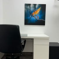 Gallery Foto