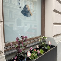 Gallery Foto