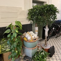 Gallery Foto