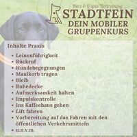 Gallery Foto