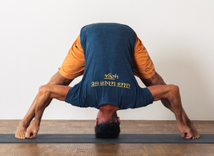 Ashtanga Yoga Wochenend-Workshop mit Gino Unterhofer