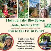 Gallery Foto