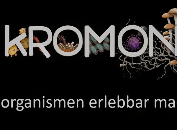 MikroMondo