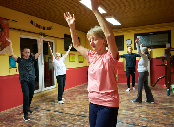 Qi Gong "Die 18 harmonischen Figuren"