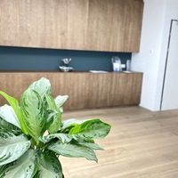 Gallery Foto