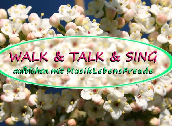9. WALK & TALK & SING am Donaukanal