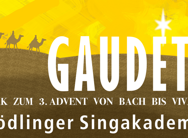 Chor-/Orchesterkonzert Mödlinger Singakademie