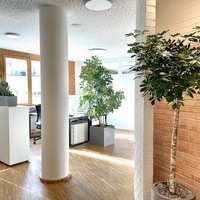 Gallery Foto