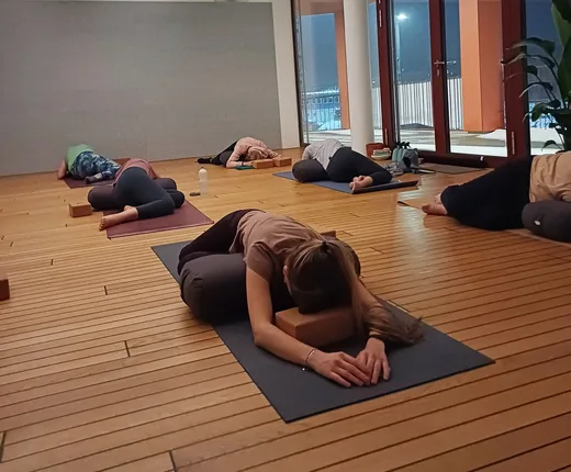 Dein Yoga Leo -  Yoga- und Pilatesstudio  – Foto 5