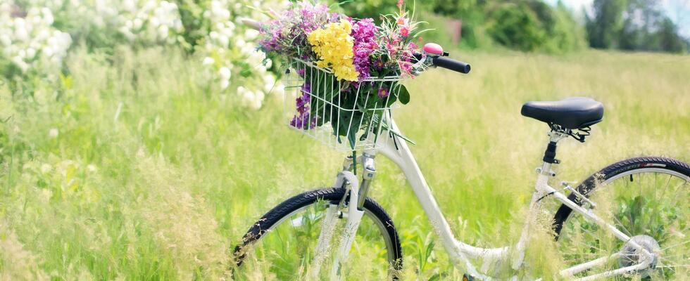 Check your bike: Fahrrad-Reparatur-Workshop