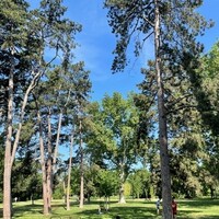 Gallery Foto