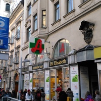Gallery Foto