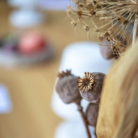 Gallery Foto