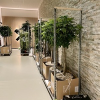 Gallery Foto